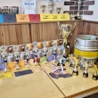 Koleko Ostrov TOP VELK FINLE